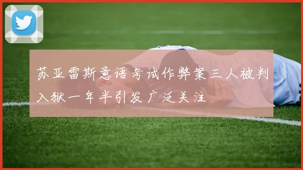 苏亚雷斯意语考试作弊案三人被判入狱一年半引发广泛关注