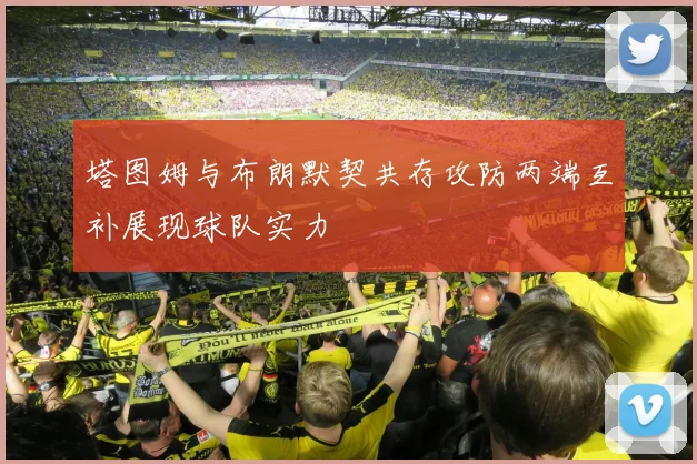 塔图姆与布朗默契共存攻防两端互补展现球队实力